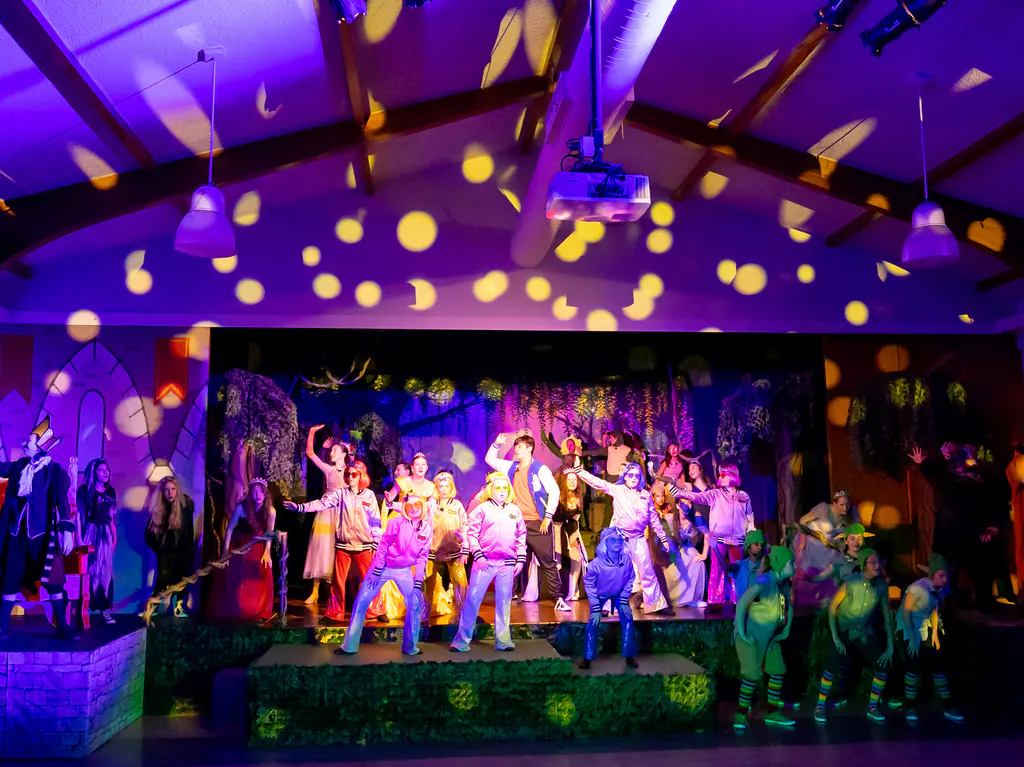 A hall&rsquo;s vaulted ceiling washed purple and covered with warm break-up patterns, with a costumed company lit on the stage below.